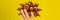 Hand with a yellow manicure holding a ripe salak on a yellow background BANNER, LONG FORMAT