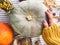 Hand in yellow sweater holding pumpkin and nuts,  flowers, fall leaves on rustic table, flat lay. Fall decor and arrangement on