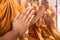 Hand of young Asian monk pay respect to the Buddha