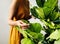 Hand of a young botanist holding a leaf