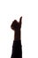 Hand young man with raised finger, like - silhouette concept abstraction