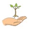 Hand with a young tree symbol