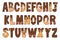 Handcrafted Chocolate Letters. Color Creative Art Typographic Design