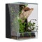 Handcrafted Glass Terrarium: A Reptile\\\'s Haven