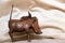 Handcrafted iron warthog africa art