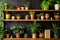 handcrafted wooden shelves with potted indoor plants