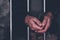 Handcuffed man behind prison bars