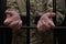 A handcuffed soldier behind the bars against a black background. Concept: court martial, refusal to mobilize, crime in the army.