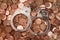 Handcuffs and pile of coins