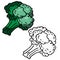 Handdrawn broccoli doodle icon