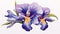 Handdrawn Colored Iris Flowers: Majestic Romanticism In Detailed Shading