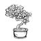 Handdrawn decorative asian bonsai tree in the pot