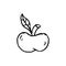 Handdrawn doodle apple icon. Hand drawn black sketch. Sign symbol. Decoration element. White background. Isolated. Flat design. V