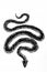 Handdrawn dotted illustration of snake
