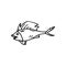 Handdrawn fish doodle icon. Hand drawn black sketch. Sign symbol