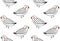 Handdrawn funny cute birds pattern vector