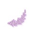 Handdrawn lavender flowers. Watercolor purple lavender frame boarder. Scrapbook design, typography poster, invitation, label,