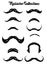 Handdrawn of mustache collection