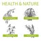 Handdrawn Set - Health and Nature. Collection of