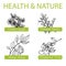 Handdrawn Set - Health and Nature. Collection of