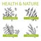 Handdrawn Set - Health and Nature. Collection of