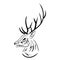 Handdrawn sketchy vector deer head contour