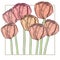 Handdrawn tulip card. Pastel tender colors, delicate frame. Vector illustration