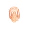 Handdrawn watercolor brown rabbit for children\\\'s textile. Scrapbook design, typography poster, label, banner, post card