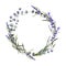 Handdrawn watercolor wreath with lavender and wild herbs. Beautiful illustration isolated on white background
