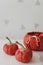 Handemade cozy fabric pumpkins for autumn decoration. Home autumn decor. Thanksgiving and Halloween concept
