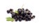 A handful of black currants on a white background