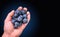 Handful of blueberries on black background. Copy space antioxidant concept. Hand full of berries