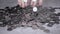 Handful of Coins Fall from Hands into a Pile of Scattered Kopecks on the Table