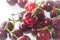 A handful of fresh cherries on a white background