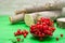 A handful of fresh red currants in a bowl