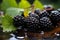 A handful of fresh ripe blackberries with green leaves on the water. Shallow depth of field. Black background.