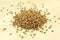 A handful of grains of buckwheat
