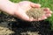 A Handful Of Grass Seed