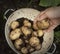 A handful of new potatoes in colander