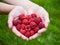 Handful raspberries