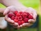 Handful raspberries