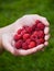 Handful raspberries