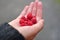 Handful of raspberries