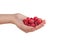 Handful raspberries in a hand