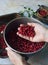 A handful of raw organic fresh cowberry or lingonberry