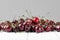 A handful of red cherries on a white wooden table in a crisp plan..