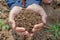 Handful of Rich Brown Soil