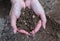 Handful of Rich Soil