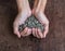 Handful of rich sunflower seeds