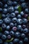 Handful of ripe blueberries covered in water droplets, AI-generated.